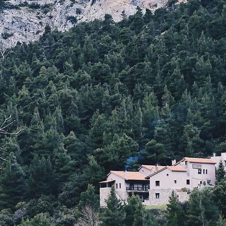 Guesthouse Vasiliki ステニ・ディルフィオス エクステリア 写真